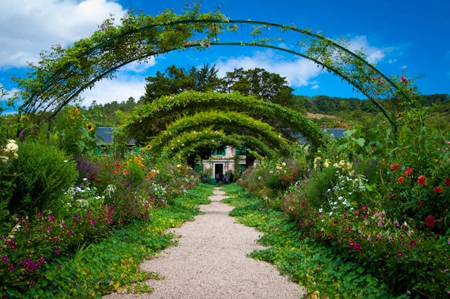 In The Garden